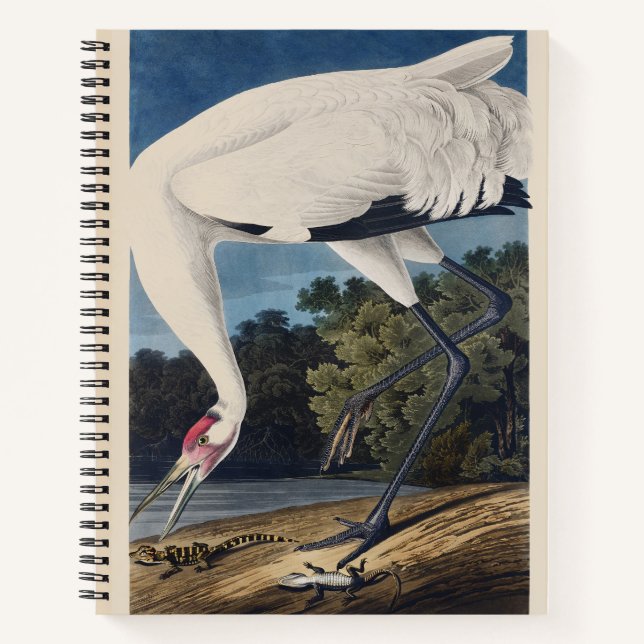 Vintage Audubon Whooping Crane Bird Nature Art Notebook (Front)