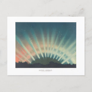 Vintage Aurora Borealis Illustration Postcard