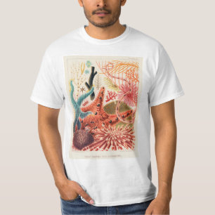 Vintage Australia Great Barrier Reef Fishes T-Shirt
