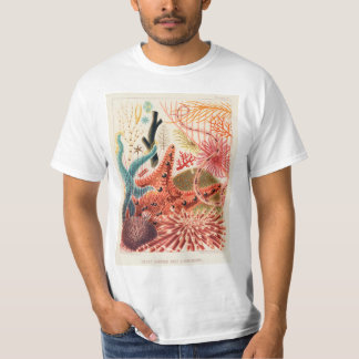 Vintage Australia Great Barrier Reef Fishes T-Shirt