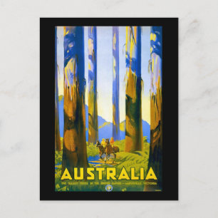 Vintage Australia Marysville Victoria Postcard