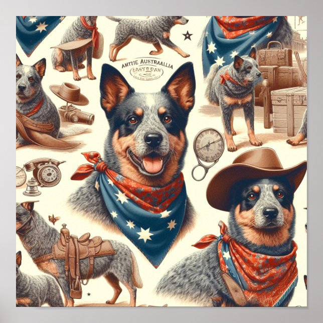 Vintage Australian Cattle Dog Illustration Poster (Front)