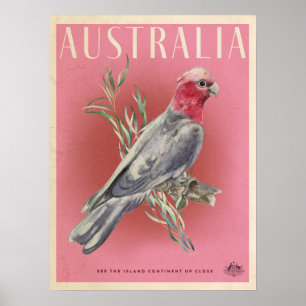 Vintage Australian Parott travel poster