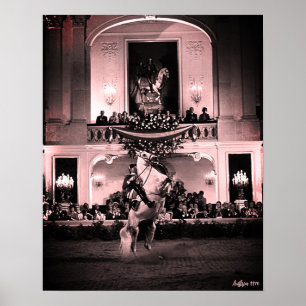 Vintage Austria Vienna Spanish Courbette Poster