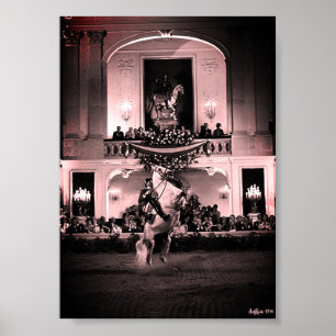 Vintage Austria Vienna Spanish Courbette Poster