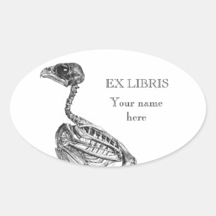 Vintage baby bird skeleton etching ex libris oval sticker