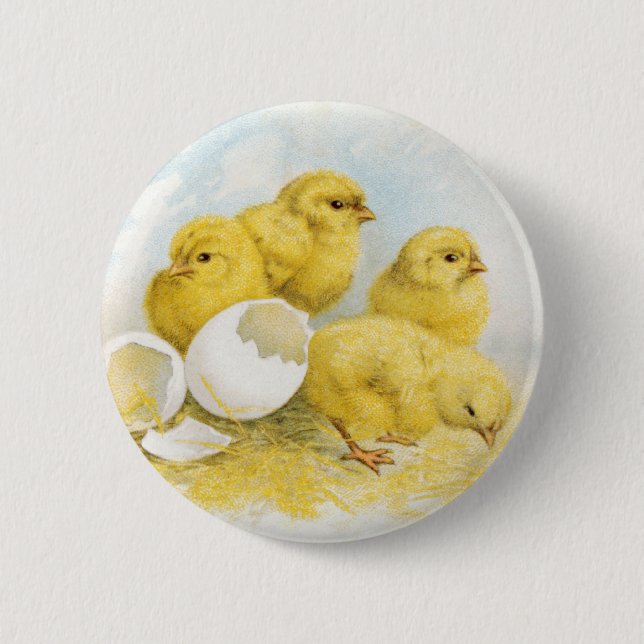 Vintage Baby Chickens 2 Inch Round Button (Front)