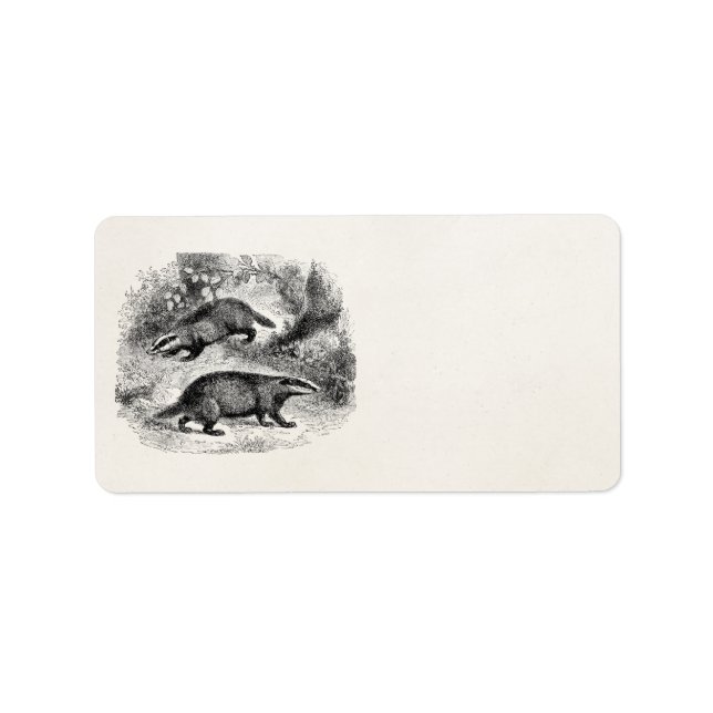 Vintage Badger 1800s Badgers Illustration Label (Front)