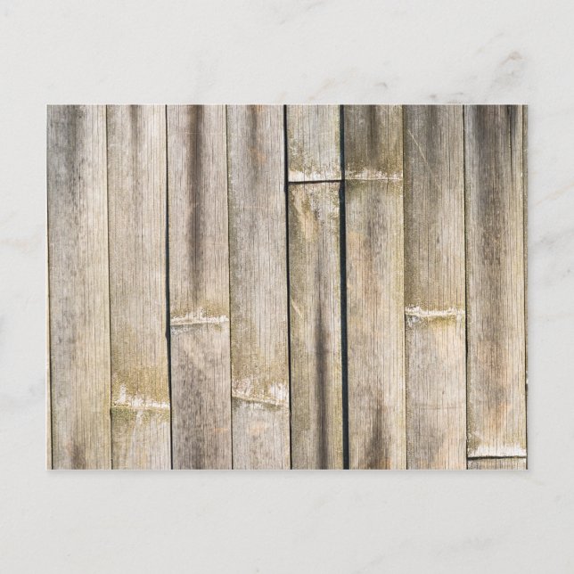 Vintage bamboo fence postcard (Front)