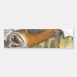 Vintage Barn Owl Painting Bumper Sticker