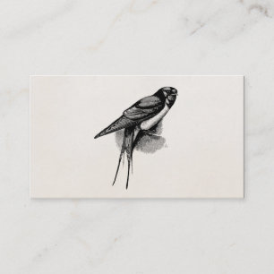 Vintage Barn Swallow Swift Bird Illustration Business Card