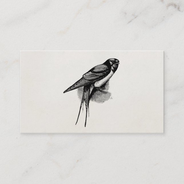Vintage Barn Swallow Swift Bird Illustration Business Card (Front)