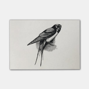 Vintage Barn Swallow Swift Bird Illustration Post-it Notes