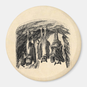 Vintage Bat 1800s Flying Fox Bat Magnet