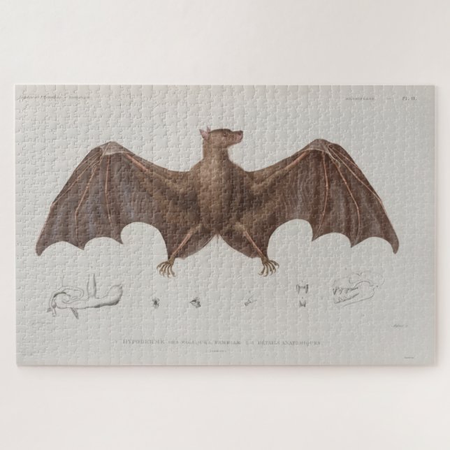 Vintage Bat Illustration (1835) Jigsaw Puzzle (Horizontal)