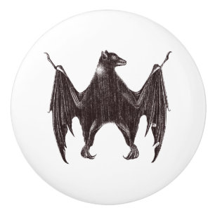 Vintage Bat Illustration Ceramic Knob