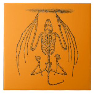 Vintage Bat Skeleton - Bats and Halloween Templat Tile