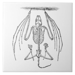 Vintage Bat Skeleton - Bats and Halloween Template Tile
