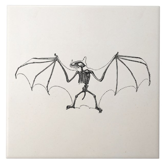 Vintage Bat Skeleton Personalized Halloween Bats Tile (Front)