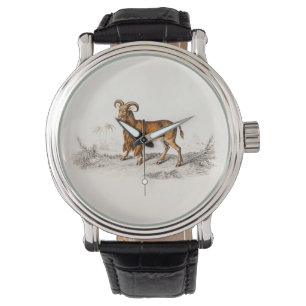 Vintage Bearded Goat Drawing Retro Beard Goats Watch