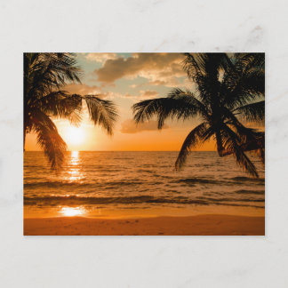 Vintage Beautiful Island Beach Sunset Postcard