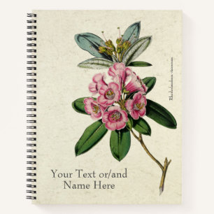 Vintage Beautiful Rhododendron viscosum Notebook