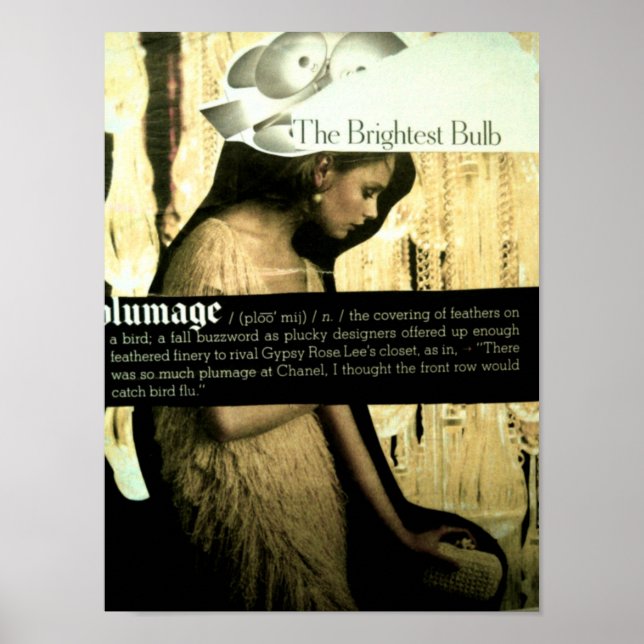 Vintage Beauty Poster (Front)