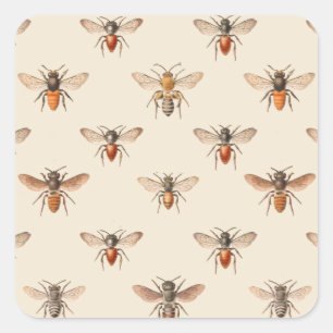 Vintage Bee Illustration Pattern Square Sticker