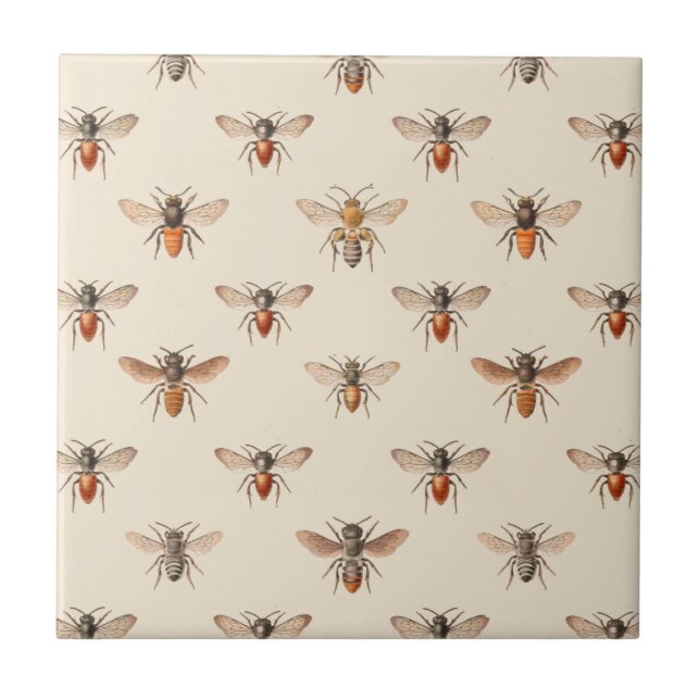 Vintage Bee Illustration Pattern Tile (Front)