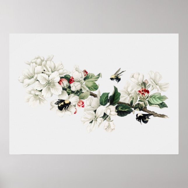 Vintage Bee Illustration Poster (Front)