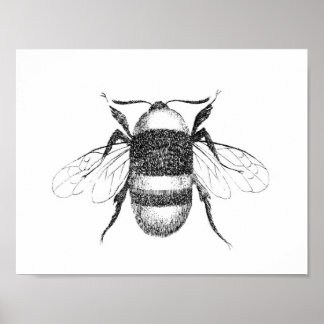 Vintage bee print