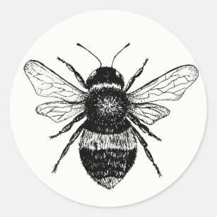 Vintage Bee Sticker Collection