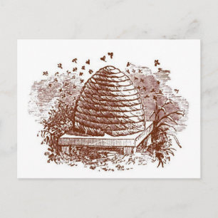 Vintage Beehive Beekeeping Postcard