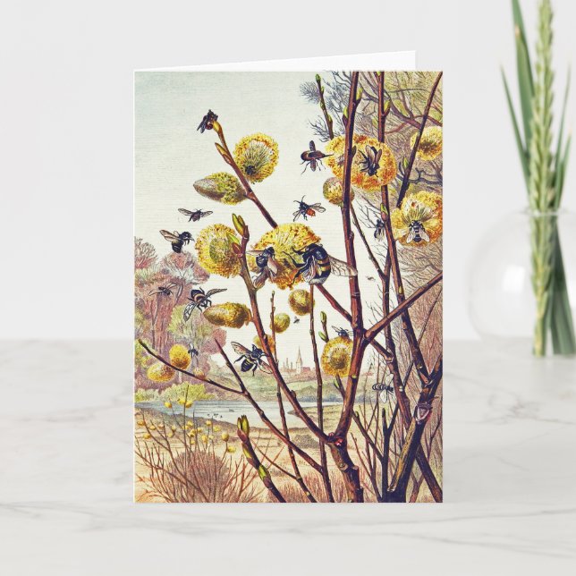 Vintage Bees Insects Spring Willow Blossom Card (Front)