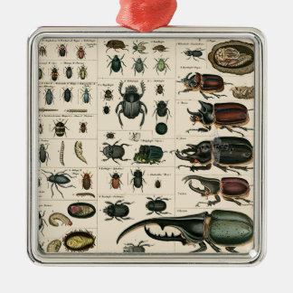 Vintage Beetle Illustration Metal Ornament