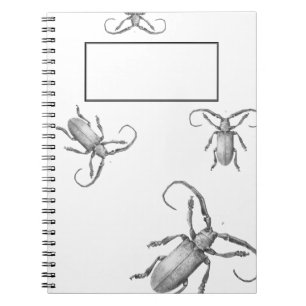 Vintage beetle illustration notebook