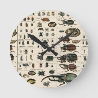 Vintage Beetle Illustration Round Clock