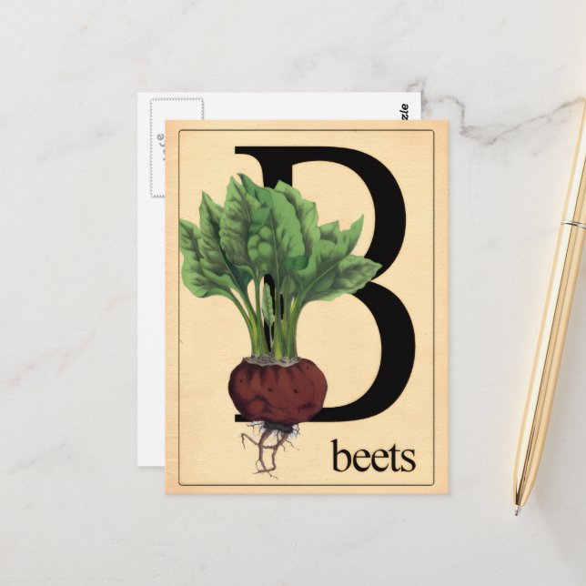 Vintage Beets Postcard (Front/Back In Situ)