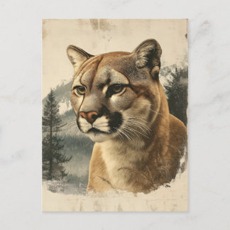 Vintage Berglöwe Postcard