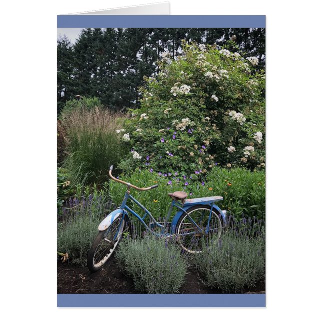 Vintage Bicycle in Garden (Front)