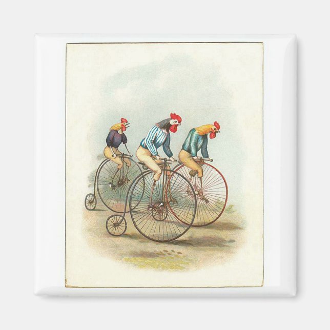Vintage Bicycle Poster, Pennyfarthing Roosters Magnet (Front)