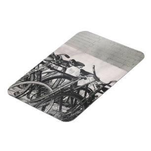 Vintage Bicycles Magnet