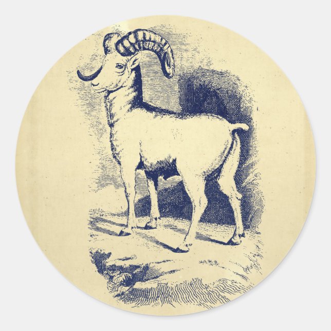 VINTAGE BIG HORN SHEEP CLASSIC ROUND STICKER (Front)