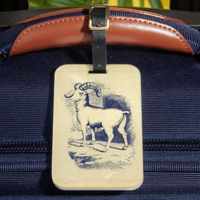 VINTAGE BIG HORN SHEEP LUGGAGE TAG (Front Insitu 2)