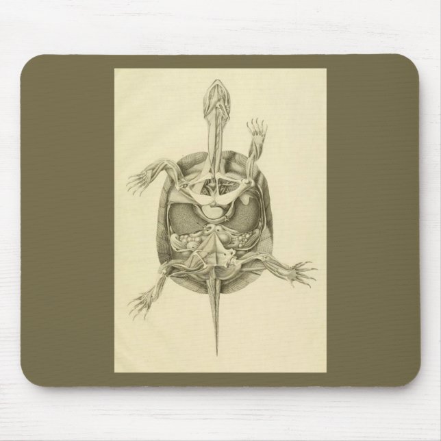 Vintage Biological Turtle Anatomy Mouse Pad (Front)