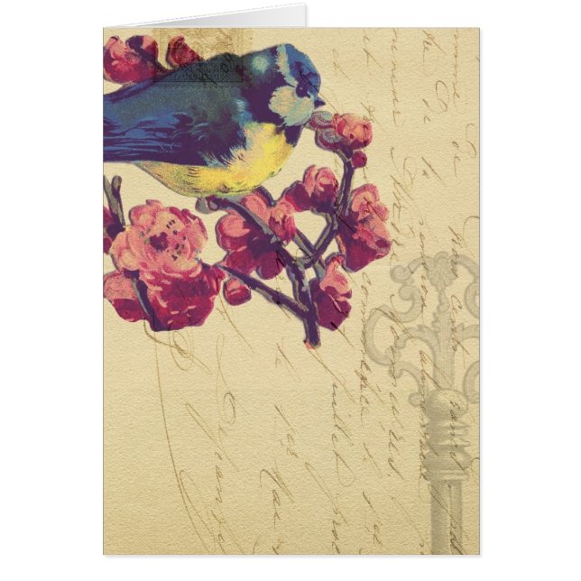 Vintage Bird (Front)