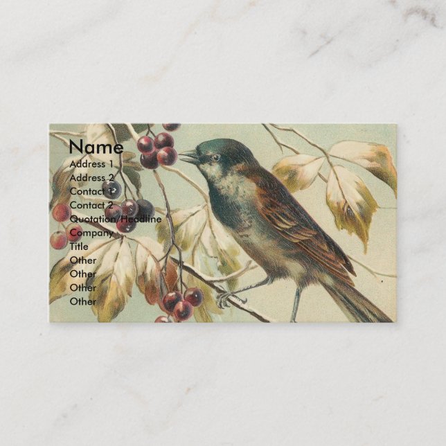 Vintage Bird and Berries Business Card (Front)