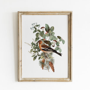 Vintage Bird and Mushroom Botanical Poster