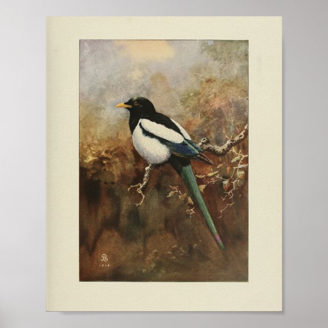 Vintage Bird Black White Green Print (Front)