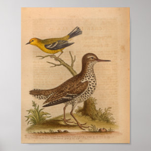 Vintage Bird Brown Yellow Print